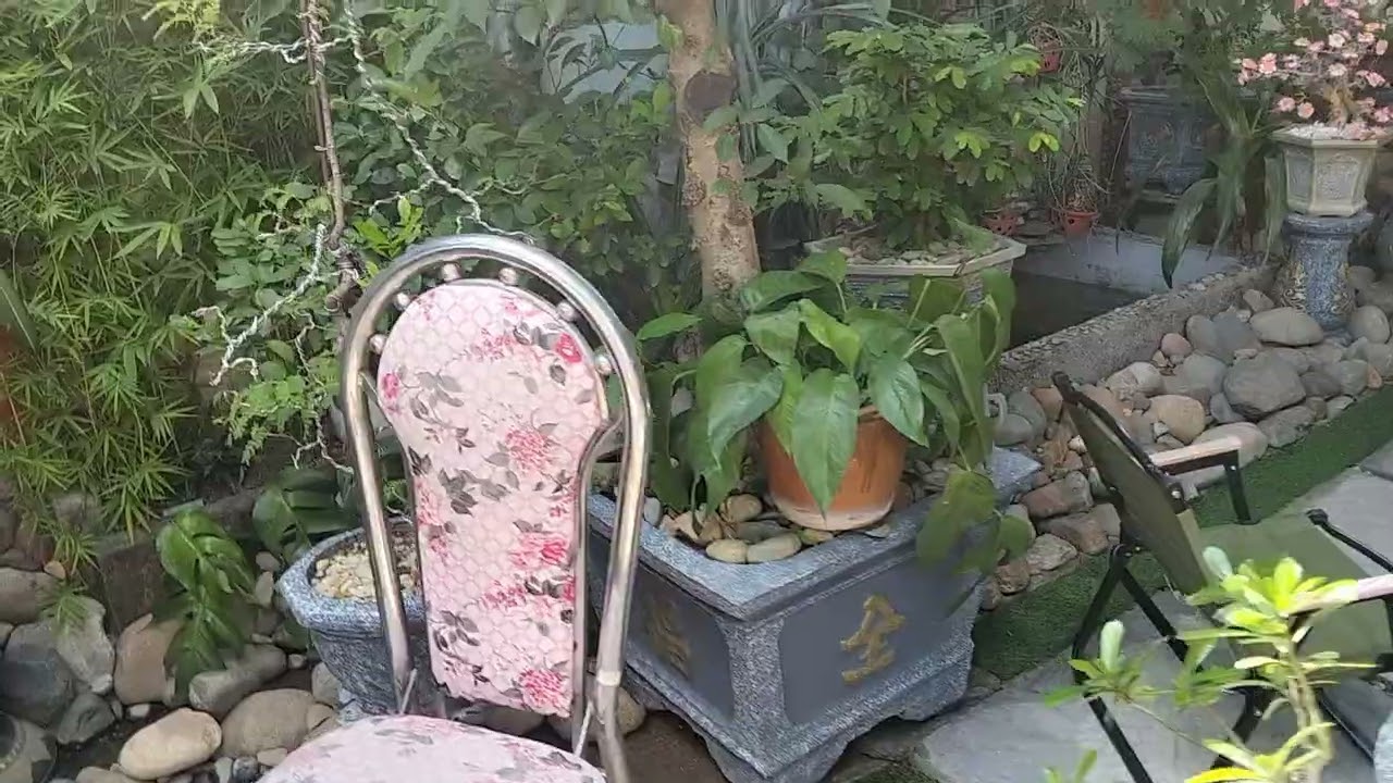 Café Nắng