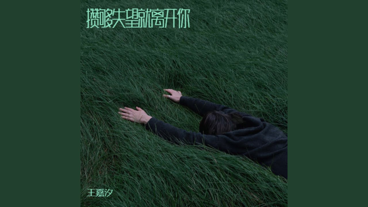 攒够失望就离开你（坚决版）