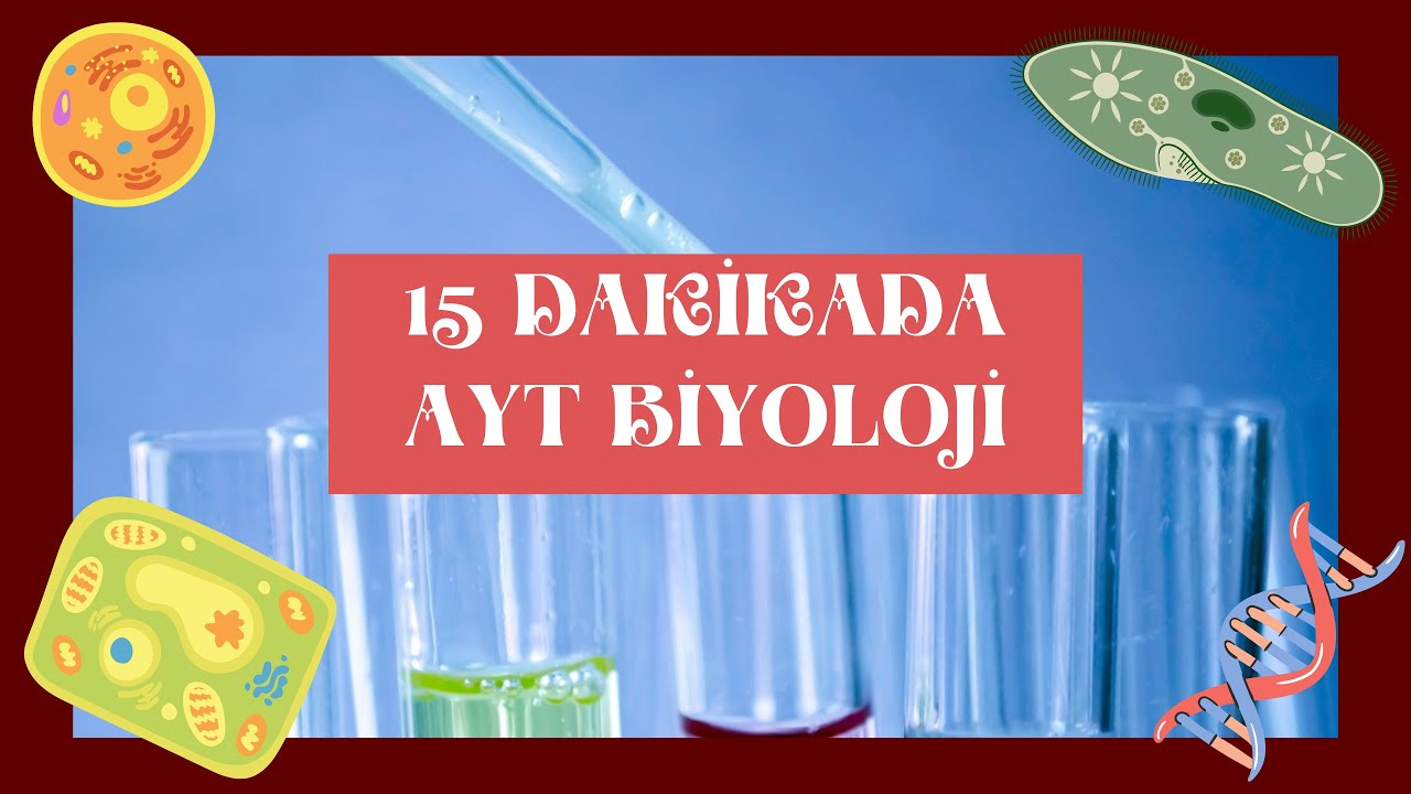 AYT BİYOLOJİ SON TEKRAR,50 MADDEDE BİYOLOJİ, ÖZET, KOLAY SORU ÇÖZÜMÜ