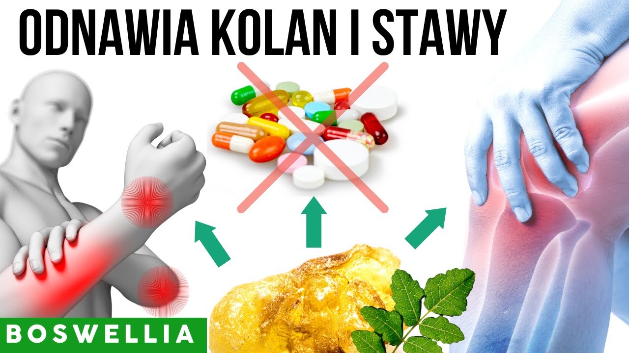 🌱👉🦴 Odnawia kolana i stawy! Lekarze jej nienawidzą! Stara sprawdzona receptura BOSWELLIA SERRATA
