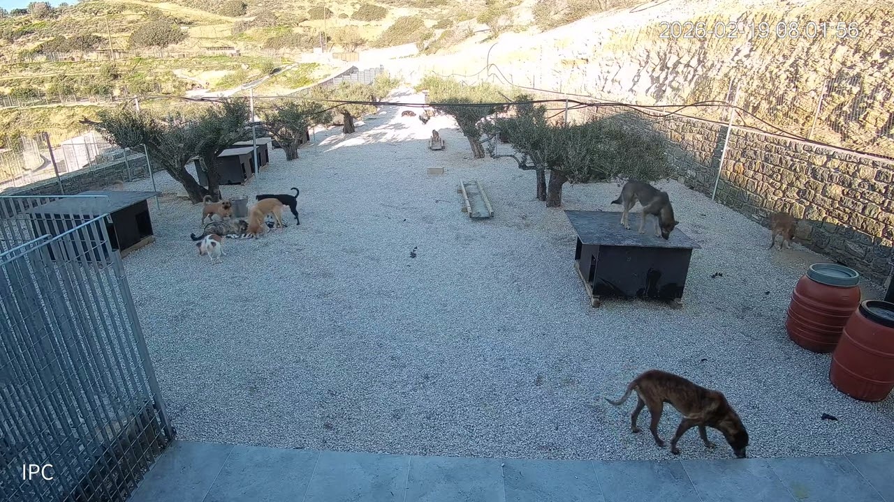 Carter and His Mini Gang Causing Trouble Again 😅 Time for a New Area! - Takis Shelter