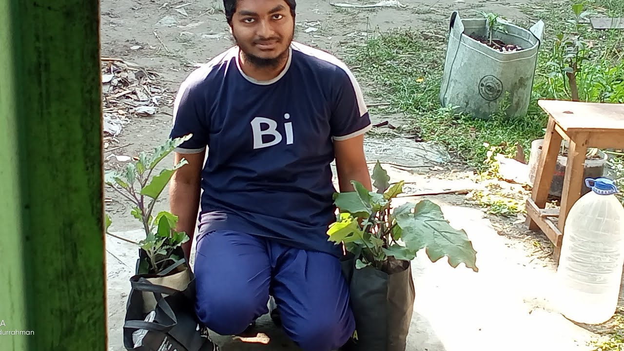 🌺🌺নার্সারি থেকে কি কি আনলাম #নার্সারি #থেকে #নিয়ে | मैं नर्सरी से क्या-क्या लेकर आया हूँ