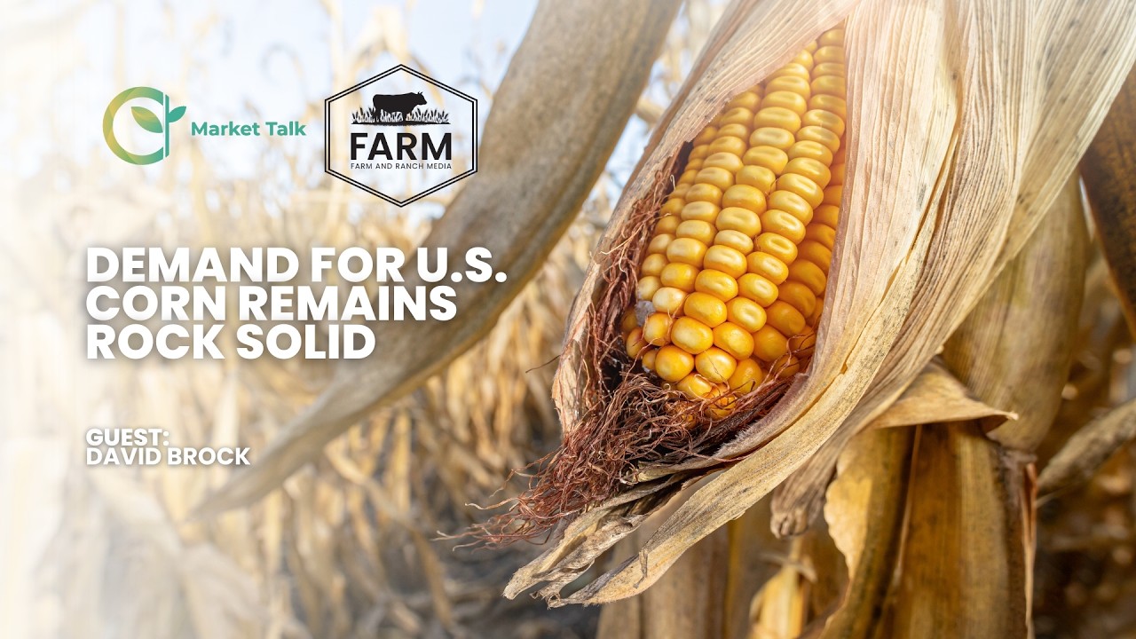 Demand for U.S. Corn Remains Rock Solid