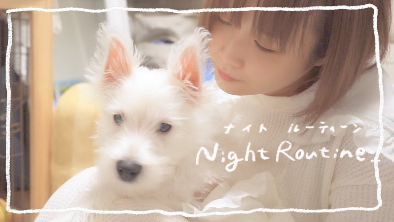 私の夜の過ごし方 Night routine