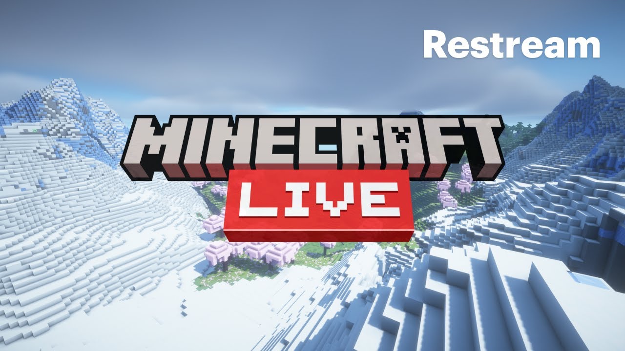 LIVE 🔴 Robimy Wordpress🌐 a później gramy Minecraft