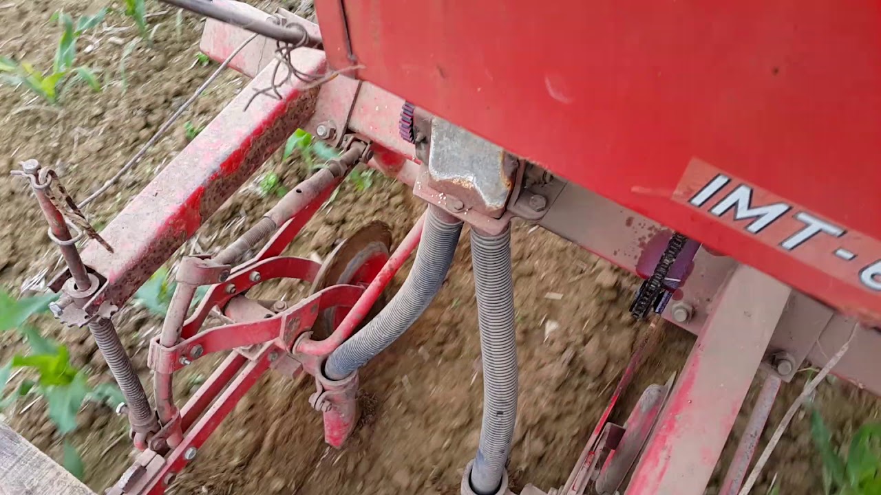 IMT 542/Špartanje kukuruza 2019