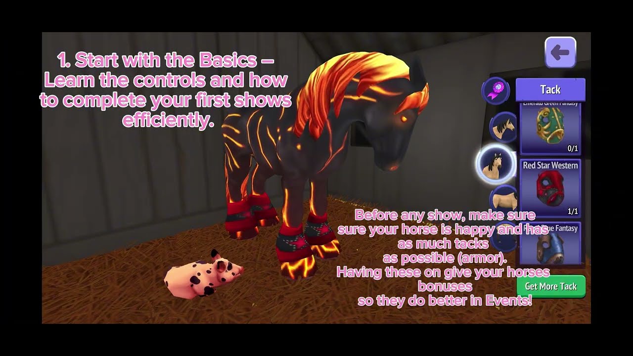 10 Horse Riding Tales Tips Every Beginner NEEDS to Know