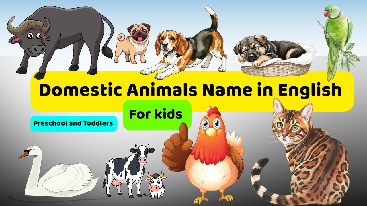 Domestic Animals Name🐄🐐🐑 For Kids ( Preschool and Toddlers) #domesticanimalsnameinenglish 