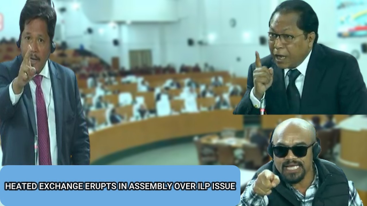 HEATED EXCHANGE ERUPTS IN ASSEMBLY OVER ILP ISSUE