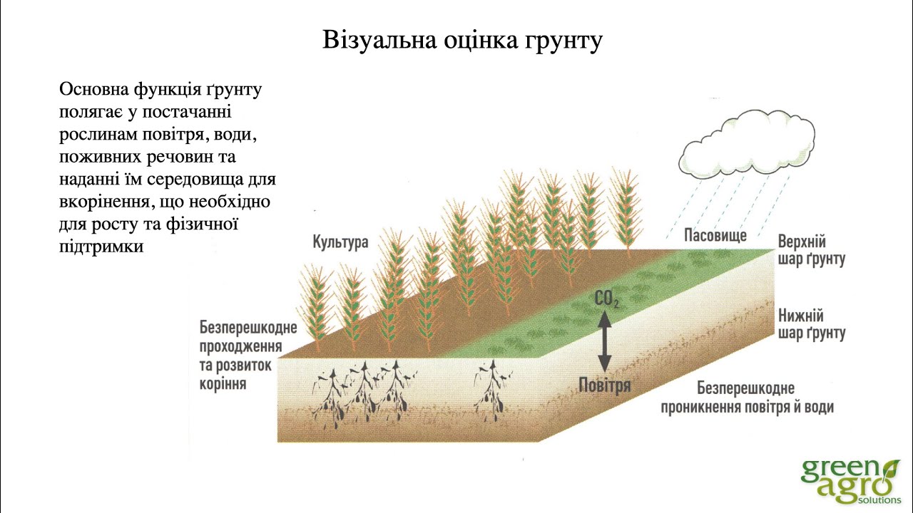 Візуальна діагностика грунтів та рослин - Биков Микола