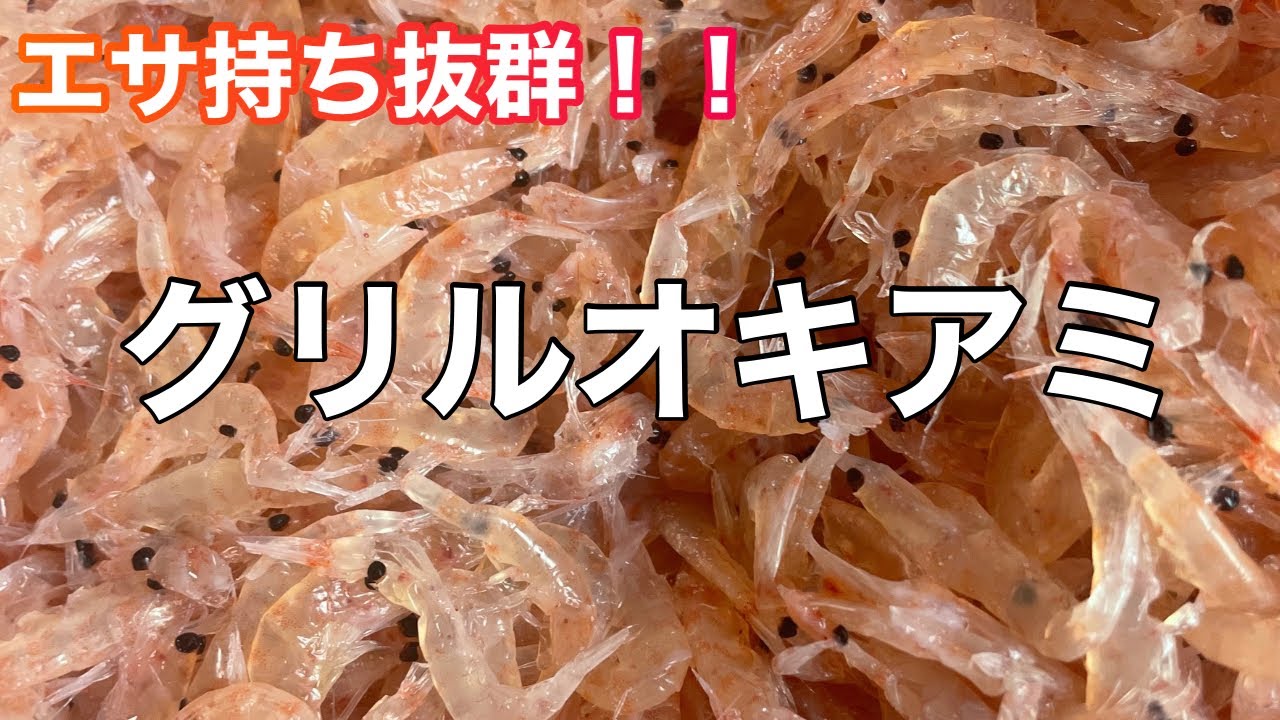 実は作れる！【あの】ハード加工オキアミの作り方！【グレ】【チヌ】