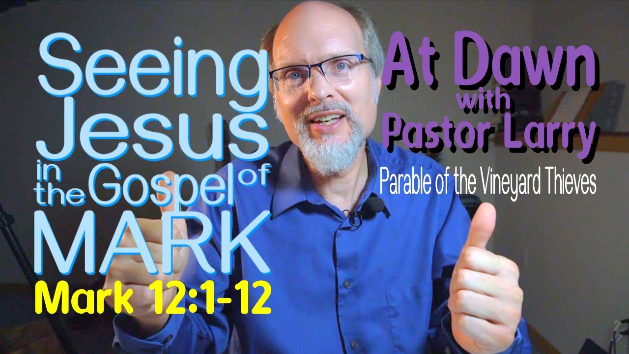 Seeing Jesus in the Gospel of MARK 12:1-12 Parable of the Vineyard Thieves