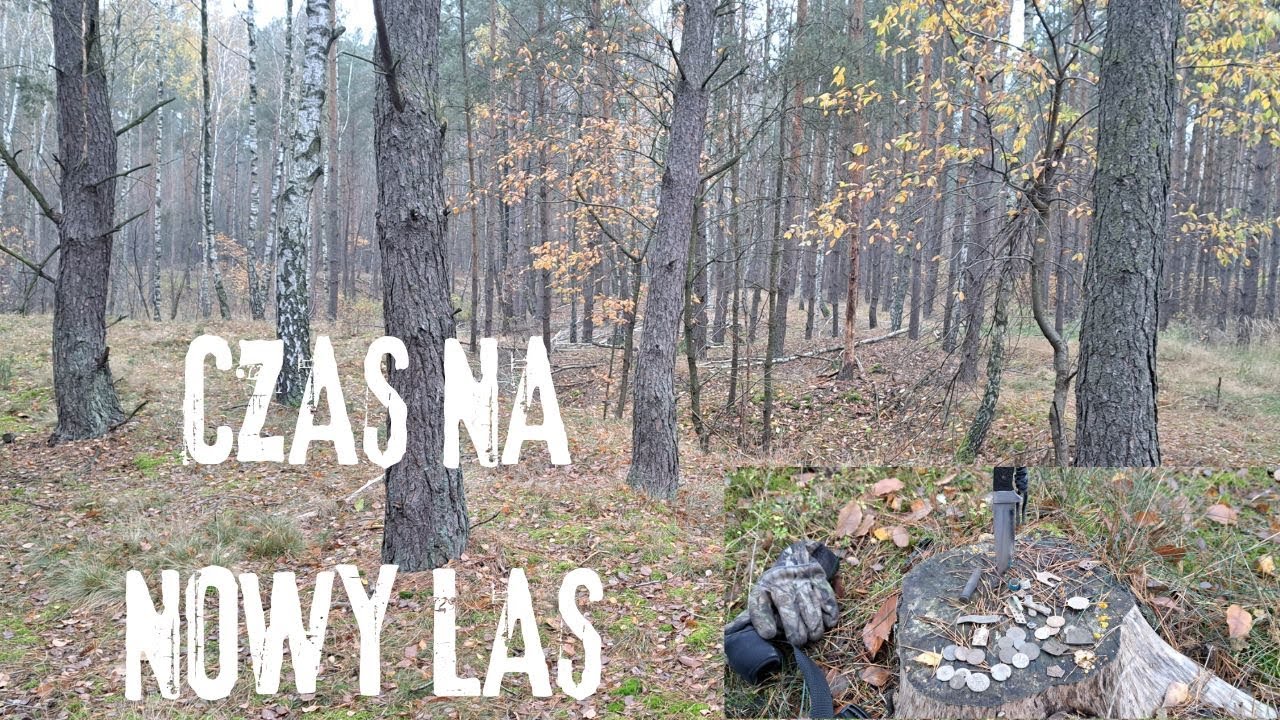 #192 Poszukiwania detektorem . Koniec obfitości pola? CZAS NA NOWY LAS #4k