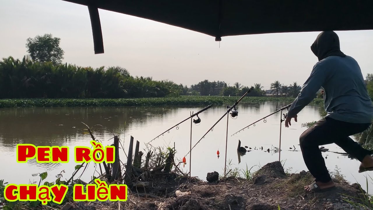 Câu Cá Tra Sông Ba Voi Cá Ăn Câu Bất Ngờ Lắm | Fishing Miền Tây