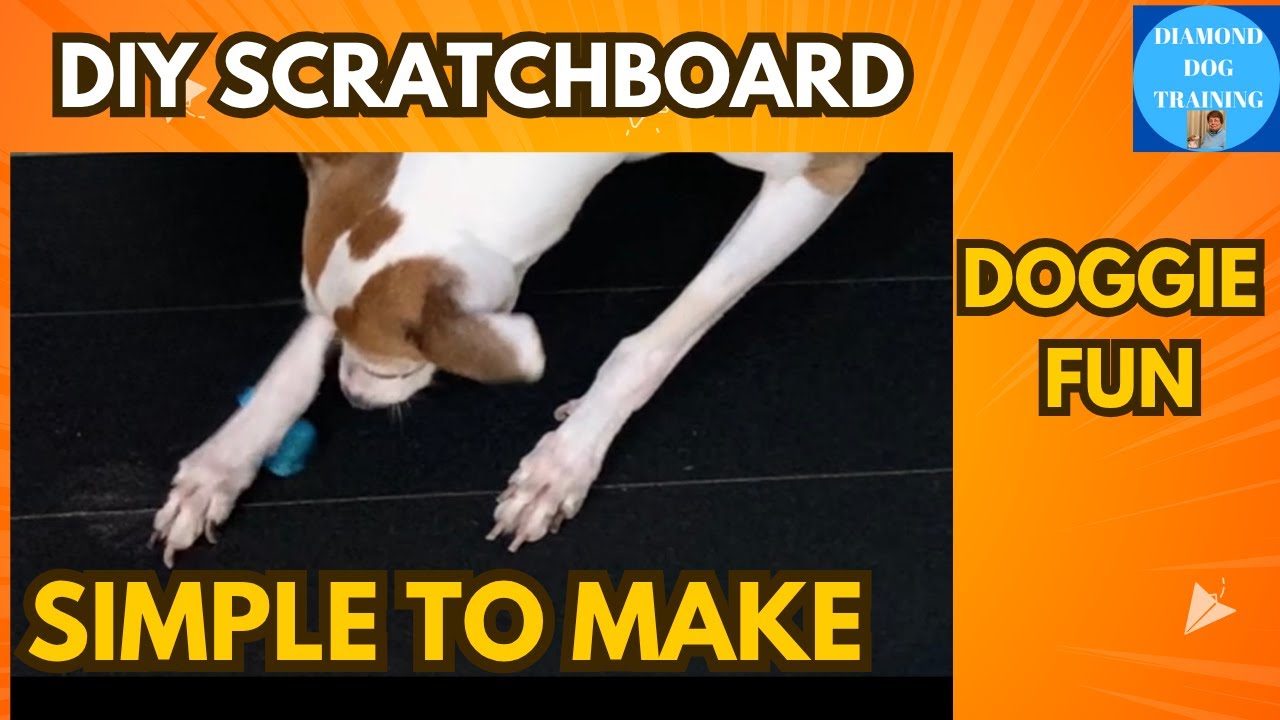 DIY Dog Scratchboard Simple To Make Dogs Love It Too