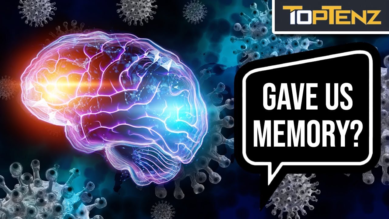 10 Facts That Prove Viruses are the Weirdest Life Forms