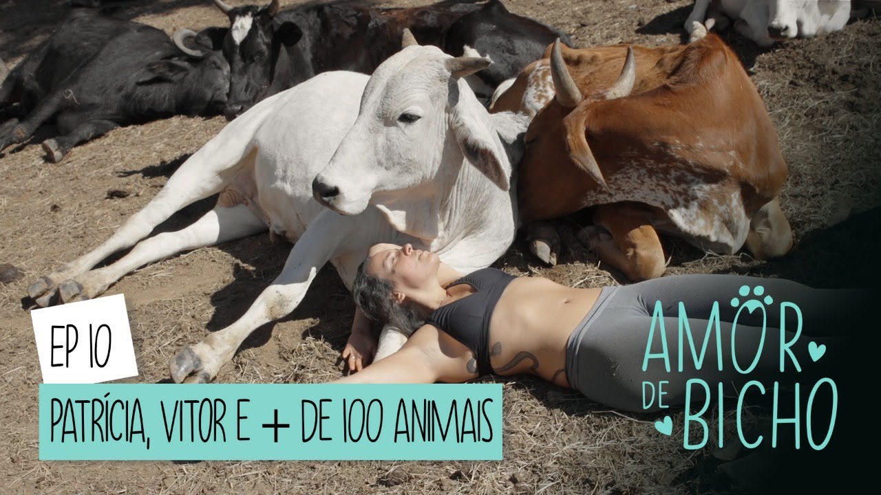 SANTUÁRIO DE ANIMAIS: BÚFALOS, CAVALOS E CACHORROS CONVIVEM EM HARMONIA | AMOR DE BICHO #10