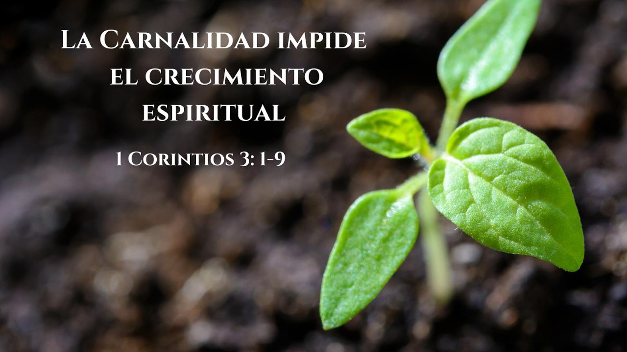 La Carnalidad Impide el Crecimiento Espiritual | 1 Corintios 3:1-9