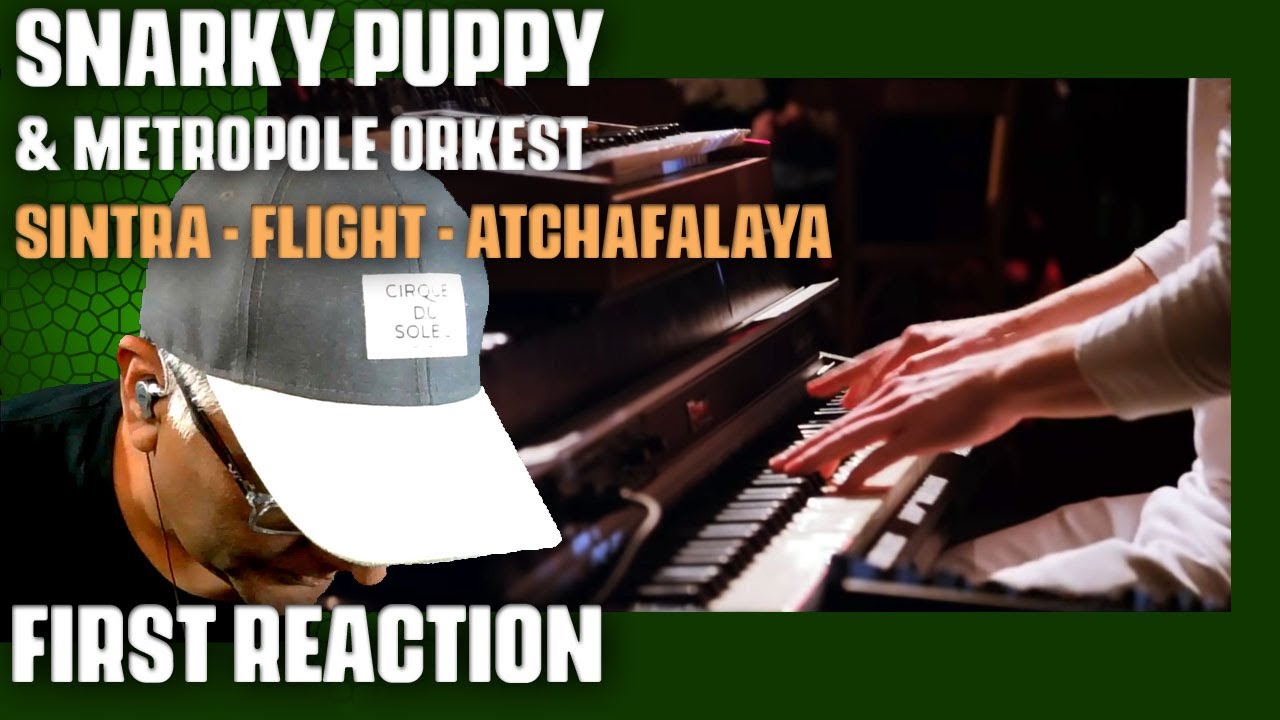 Musician/Producer Reacts to 