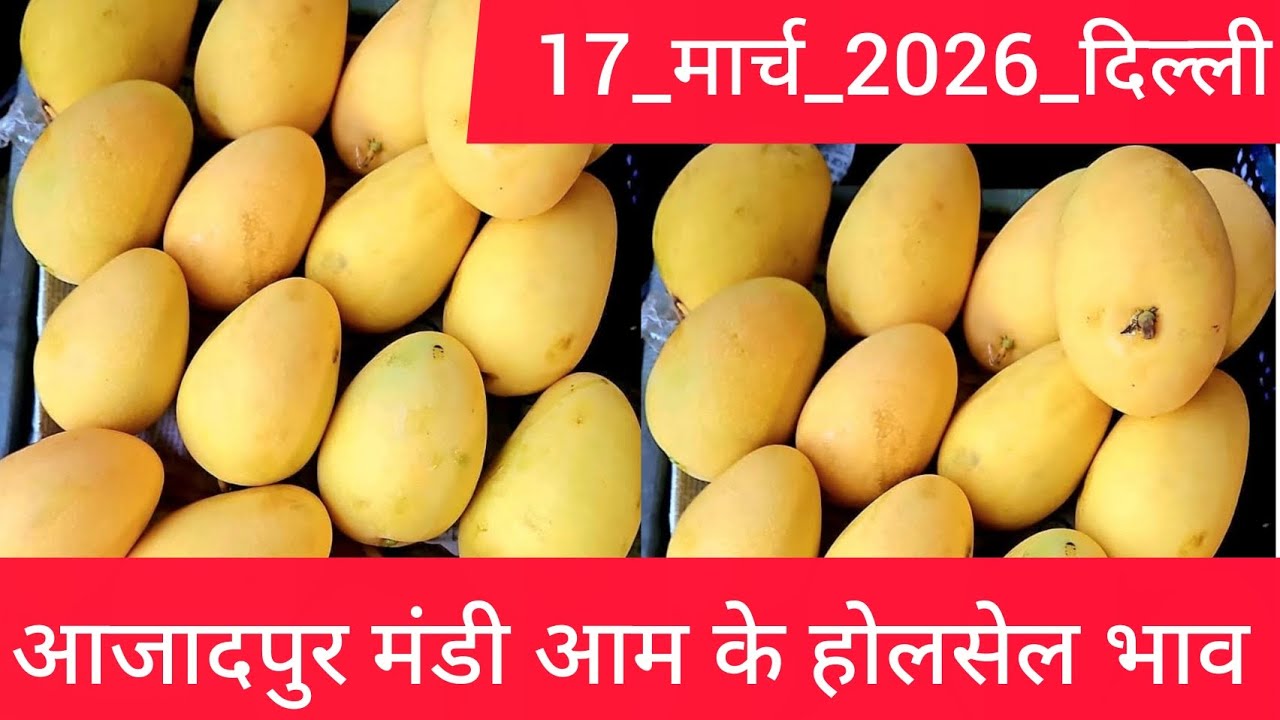 17 March 2026 दिल्ली 🥭 आम का भाव Azadpur Delhi Mandi Today Mango Market Price Aam Ka Aaj Ka Rate