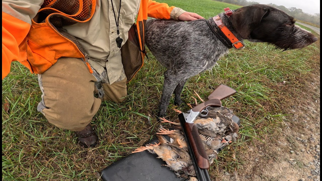 Chukar Hunt (Catch, Clean, and Cook)