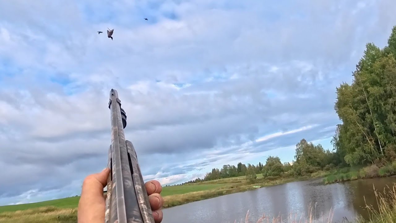 Sorsan aloitus 2025: hulluna taveja päivällä ja heinureita illalla!! Duck hunting in finland
