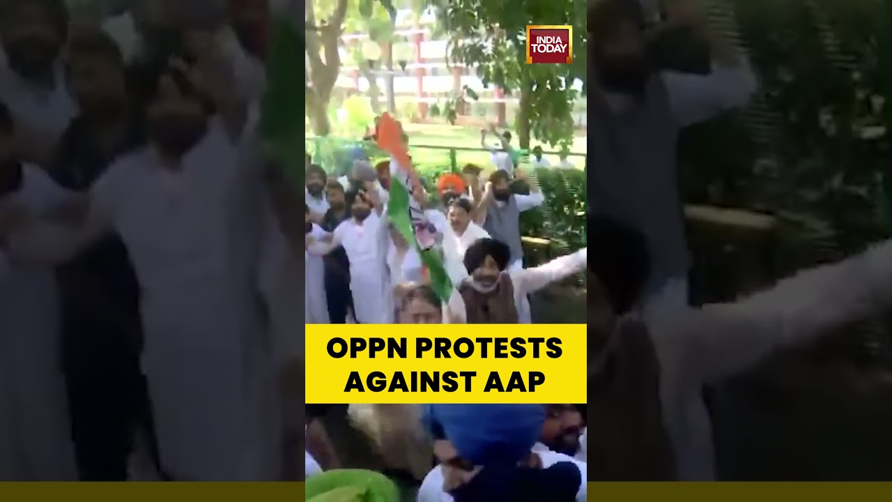 Chandigarh: BJP, Congress & Akali Dal Hold Protest Demanding Justice for PSWC Officer #punjab #aap