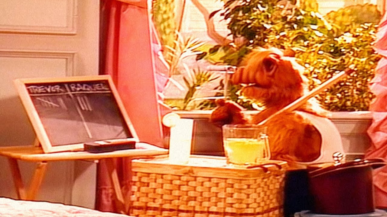Alf  Adicto a Vigilar a los Vecinos- ALF  CAPITULO COMPLETO