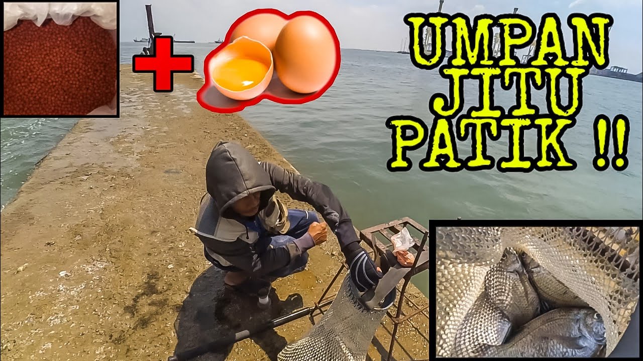 Begini Cara Mancing Patik Dengan Umpan Racikan Sendiri !!