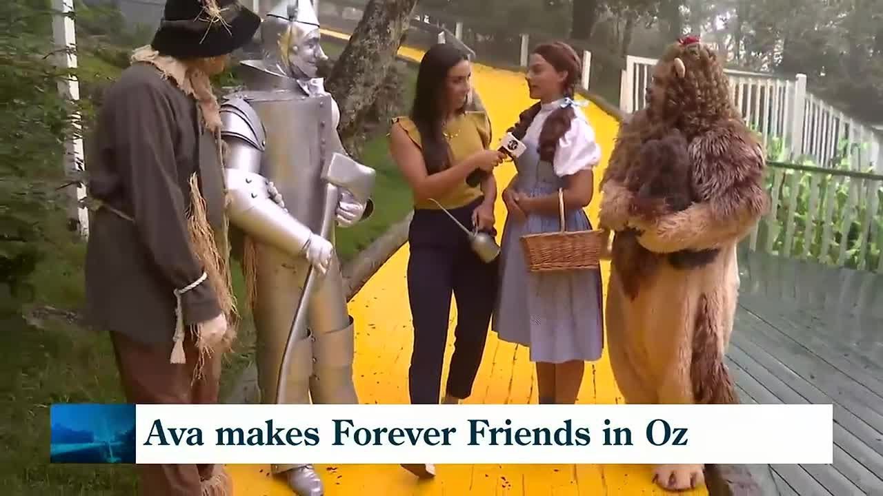 Skipping down the yellow brick road
