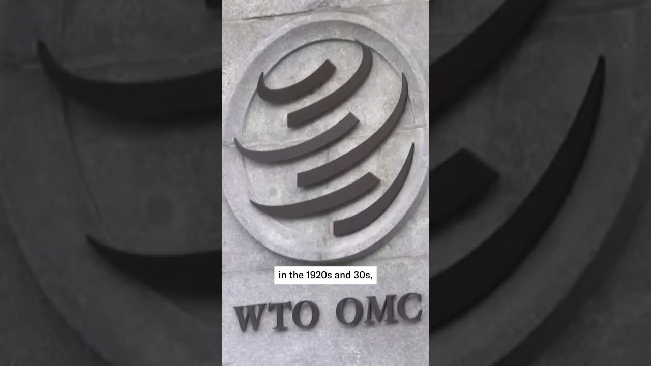 Why the WTO 
