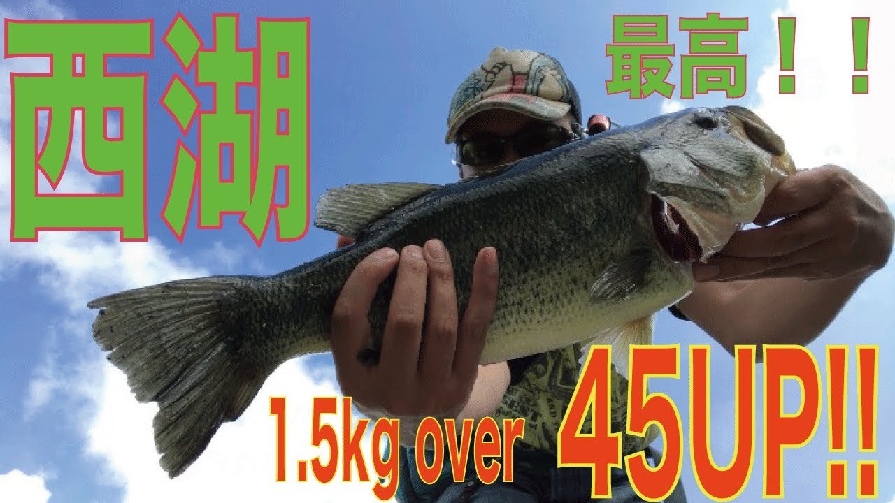 西湖 最高！！ ブラック バス 釣り「やっと釣れた納得の魚の巻！」