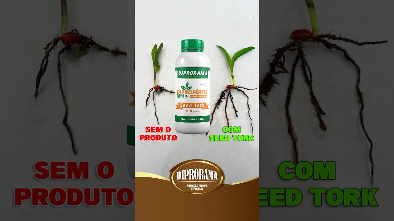 🌱 Seed Tork | Raiz forte, lavoura produtiva!