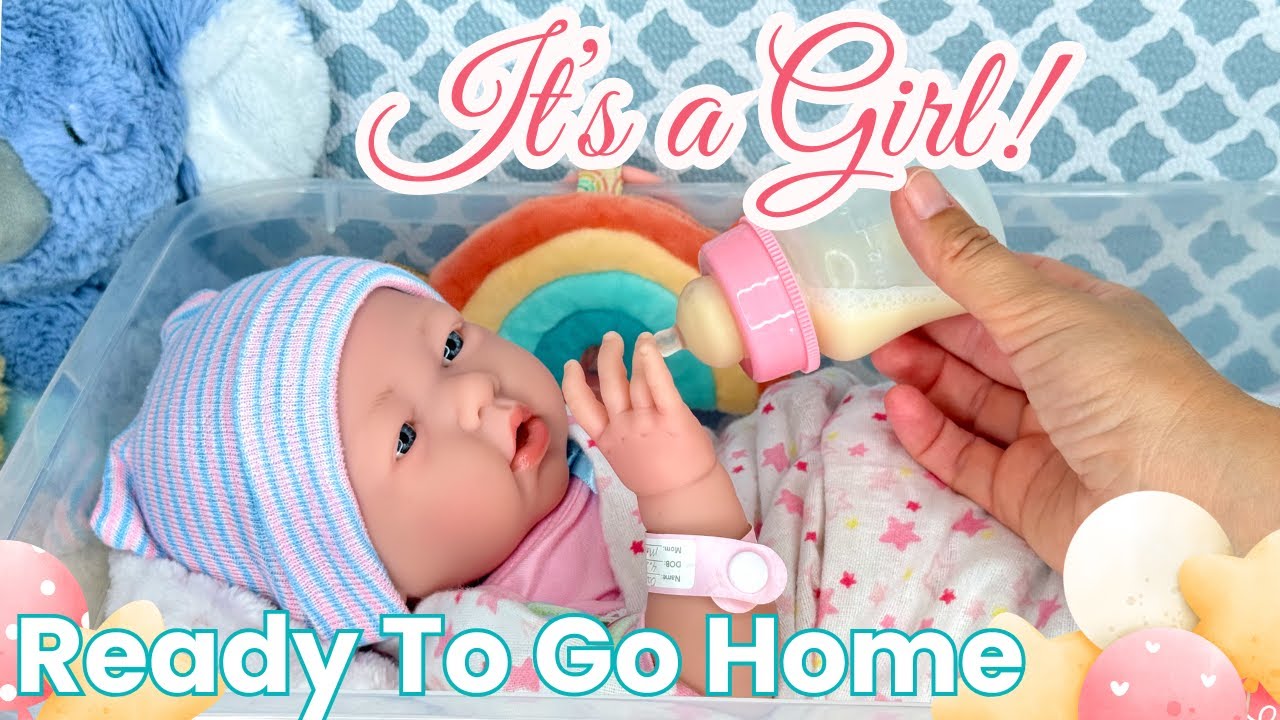 Bringing Baby Home From The Hospital (Realistic Reborn Doll Role-Play Video) First Day At Home.