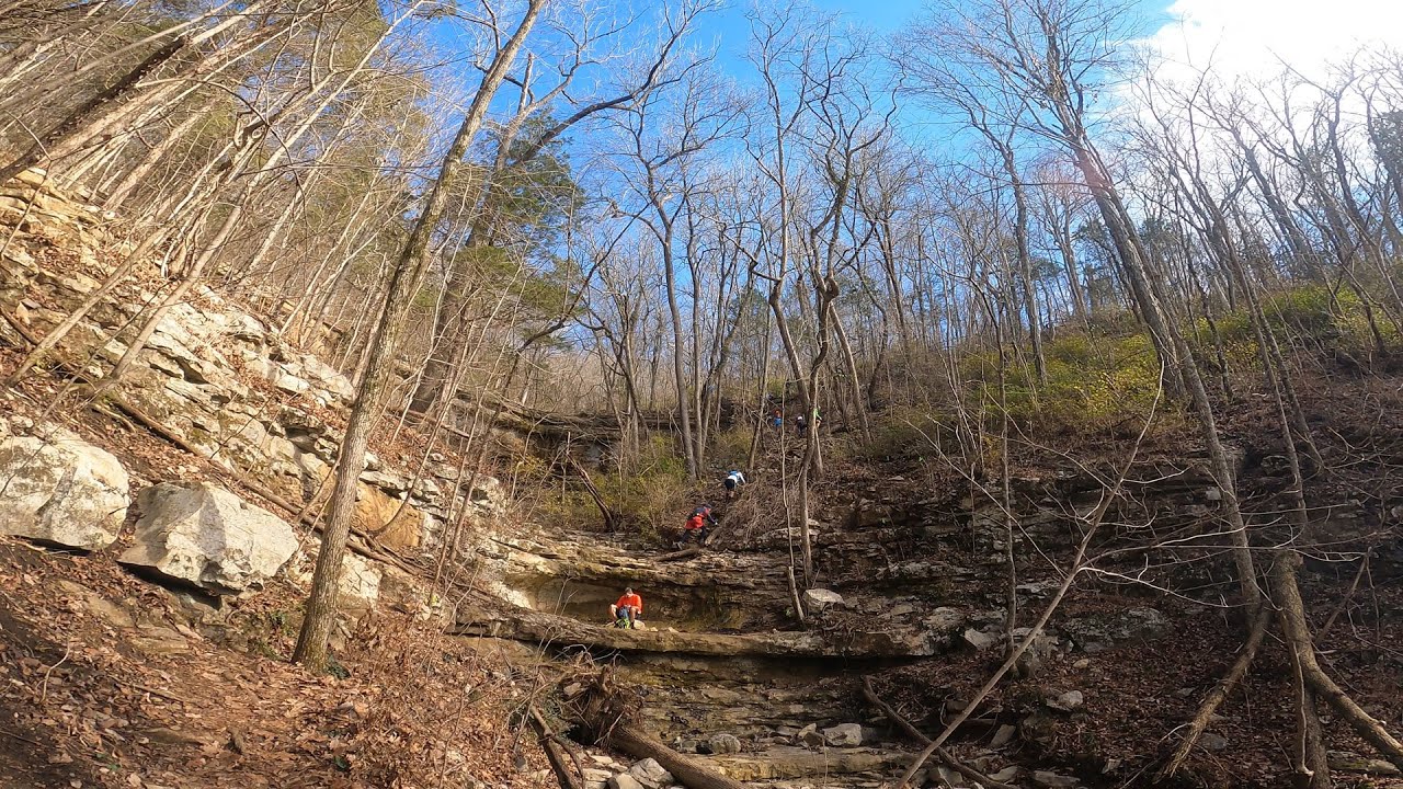 Mountain Mist 50K - Jan 23, 2021