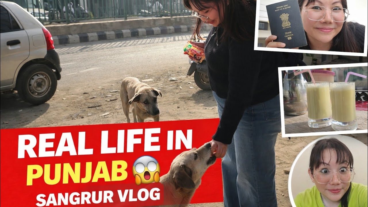 Day in my life in punjab sangrur | punjab village life vlog @Doglovergod @WangsuChangVlog 