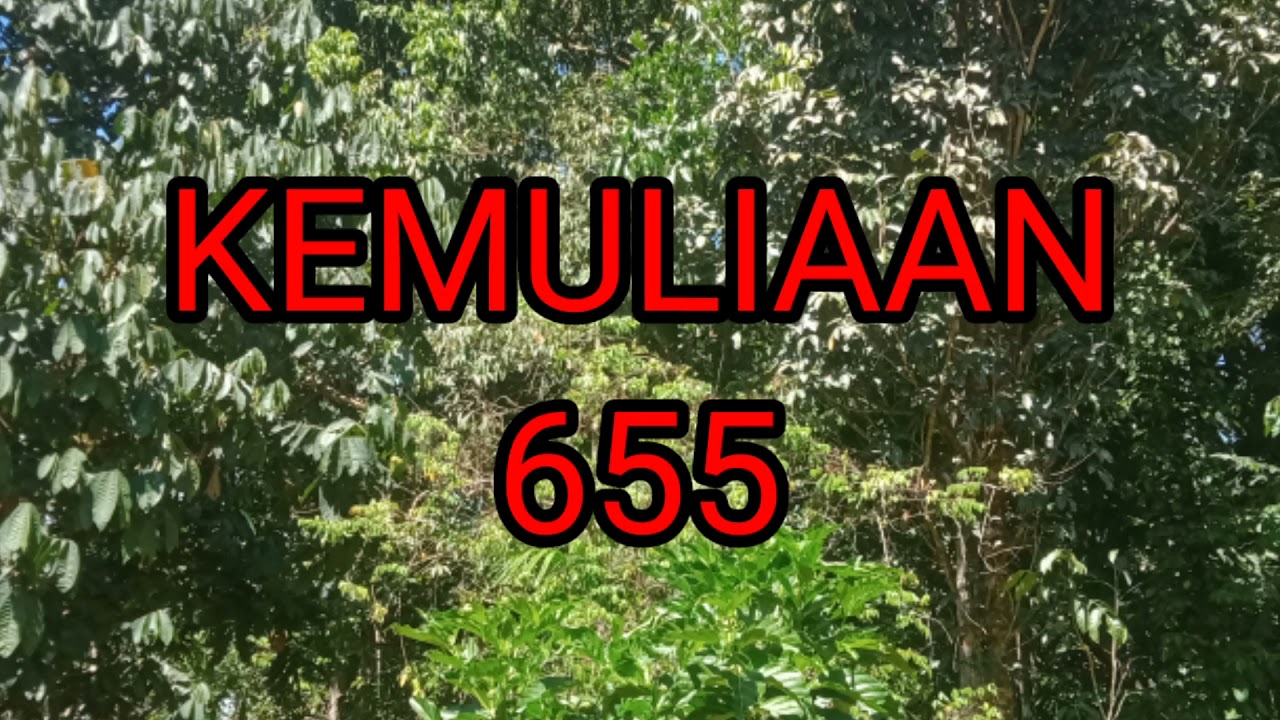 kemuliaan, MB no 655, instrumen lagu rohani dengan lirik tanpa vokal 