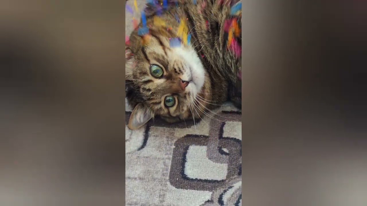 Опять понедельник 🙀🙏🤕🤣