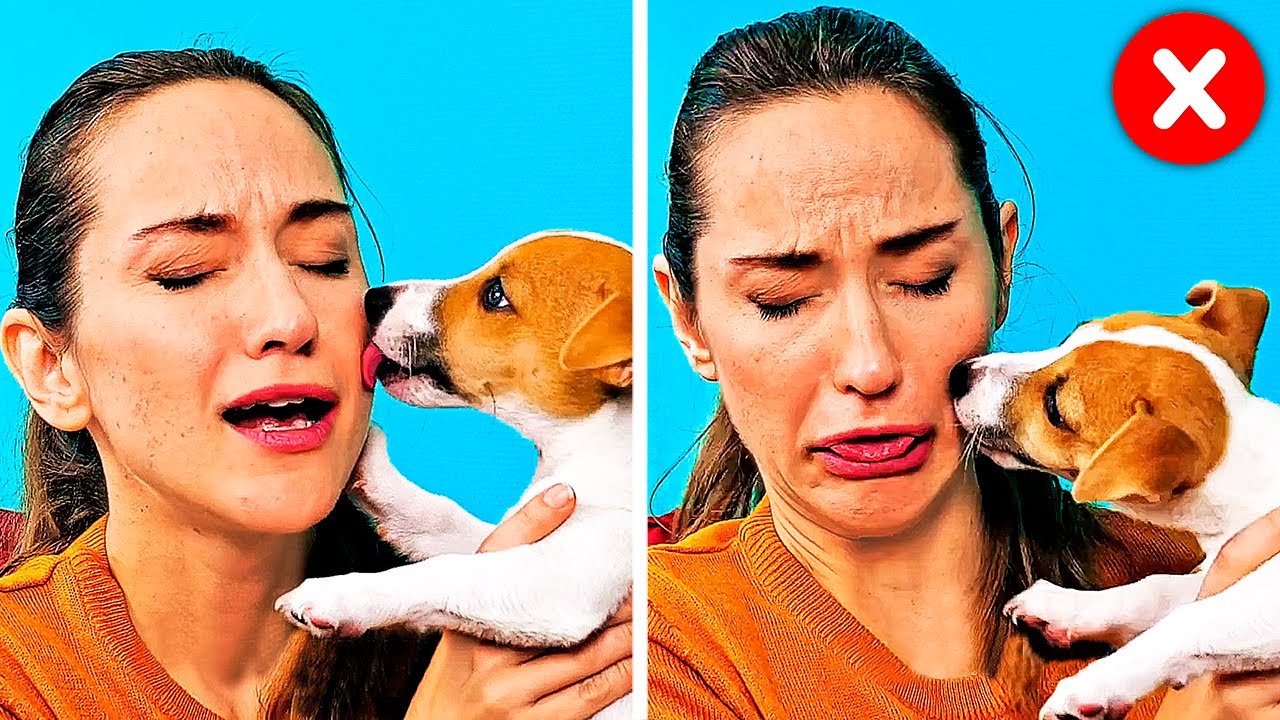 17 COOL HACKS AND CRAFTS EVERY PET OWNER SHOULD KNOW
