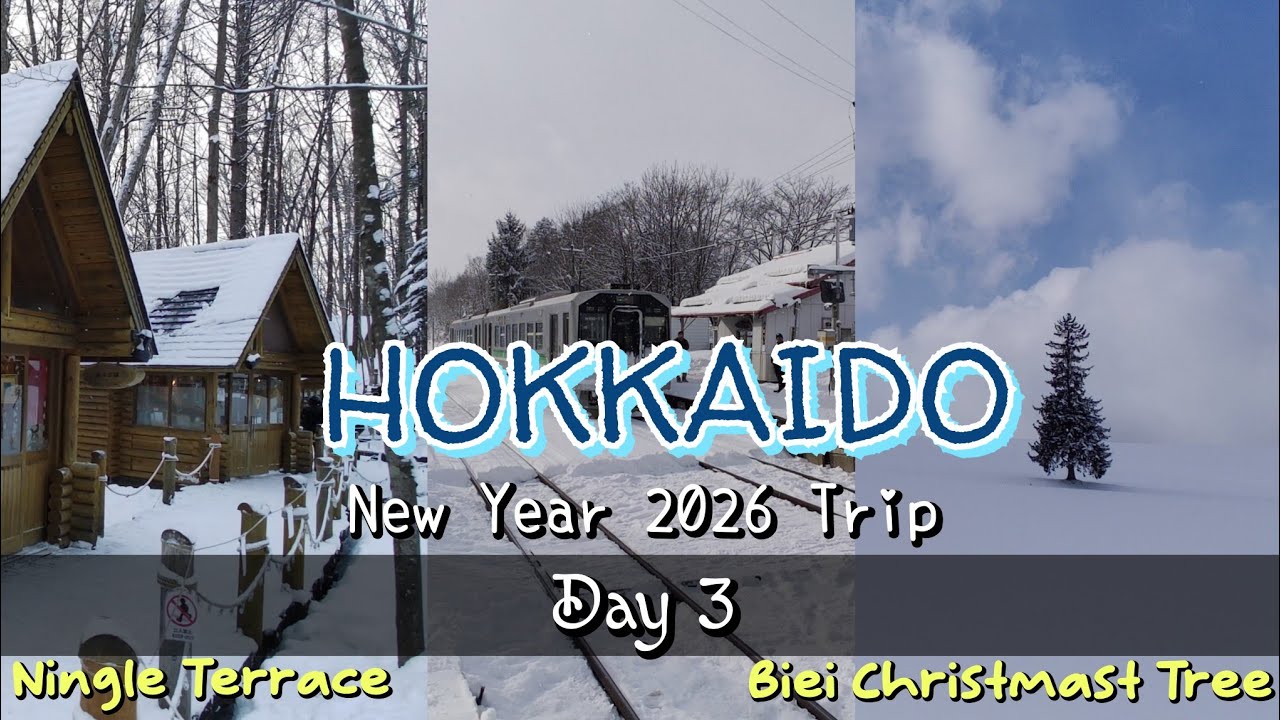 HOKKAIDO New Year 2026 Trip | Day 2 - Snowy Winter Walk in Furano & Biei