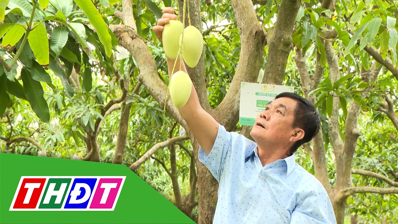 Nông dân Đồng Tháp: Chuyên nghiệp để nâng tầm nông sản | THDT