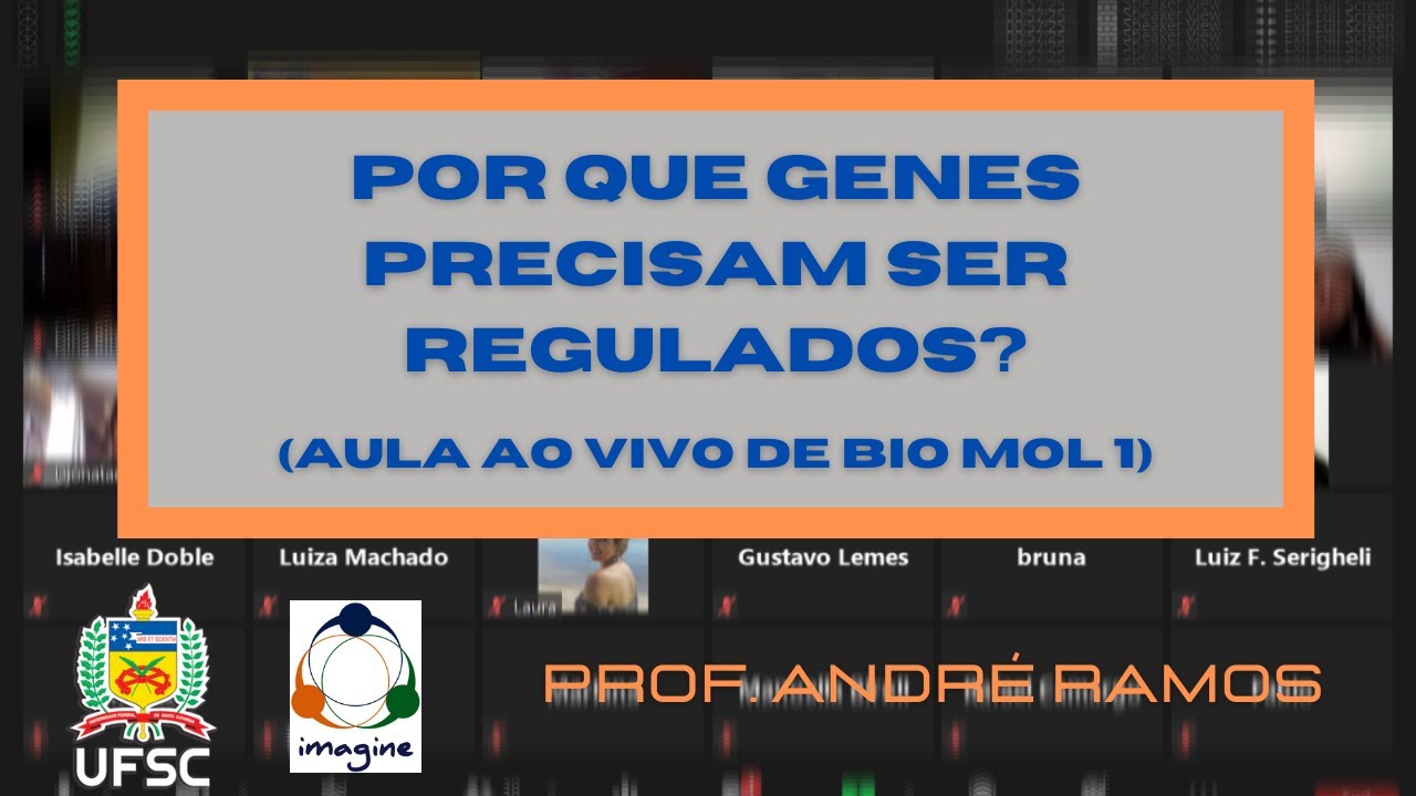 Bases da Biologia Molecular e Introdução à Regulação Gênica.