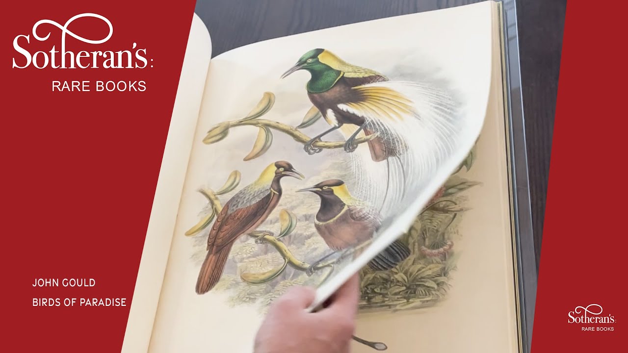 John Gould - Birds of Paradise. Sotheran's Rare Books