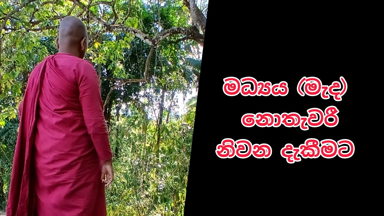 මෙ දැන් දකින නිවන 