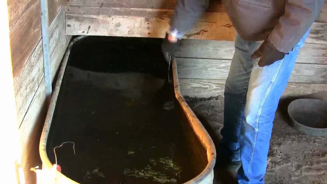 Horse water tank heaters , proper use of them .. Stall13.com video