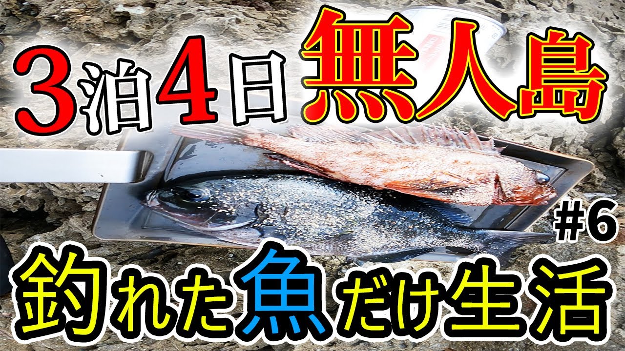 【無人島釣りキャンプ】＃6 和歌山 串本町【クエド】グレ、イガミ、アオリイカ等が釣れるポイント　水中映像有り　空撮映像有り