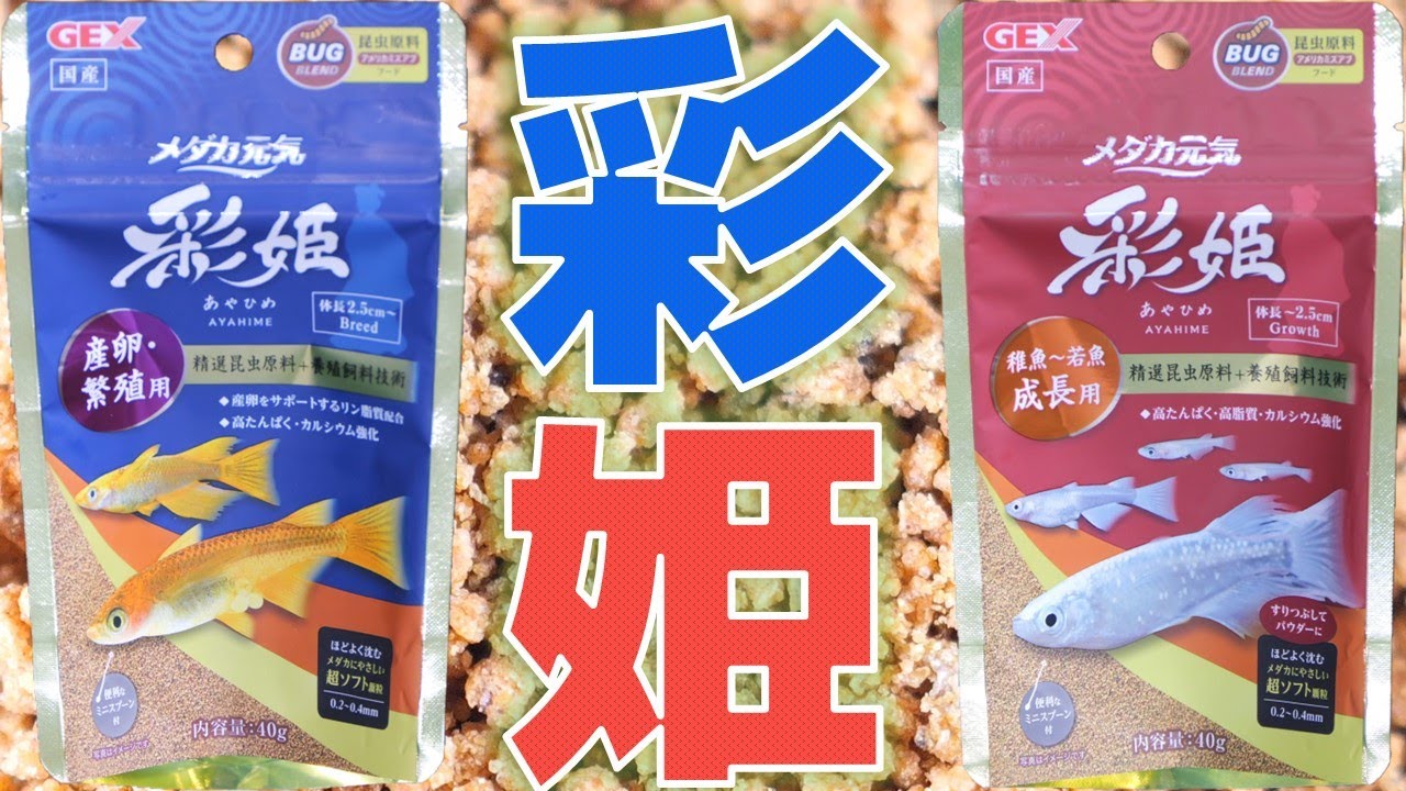 【餌】粉ではなく小さな粒なので与えやすい。産卵数2倍、成長率が33％UPするフード。GEXメダカ元気 彩姫 産卵・繁殖用40g/成長用40g【ふぶきテトラ】
