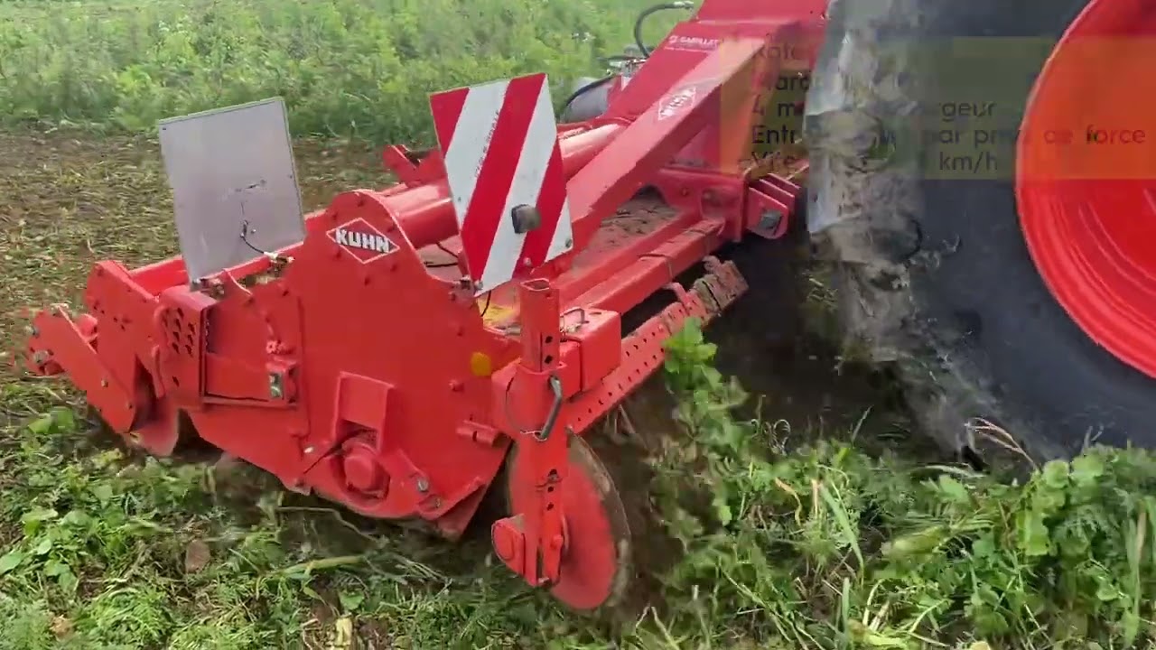 Semis direct de blé dans des couverts vivants et destruction de couverts