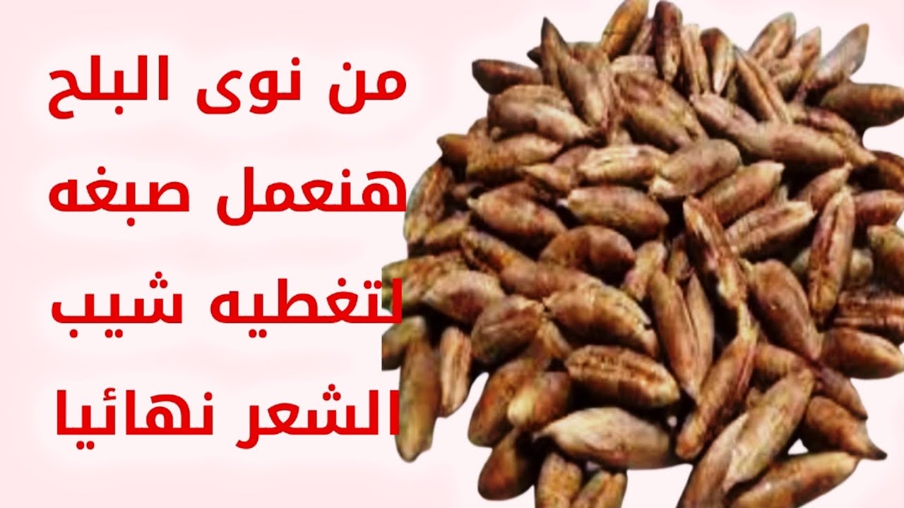 من نوى👈 البلح هنعمل صبغه👍 لتغطية شيب الشعر نهائيا👌