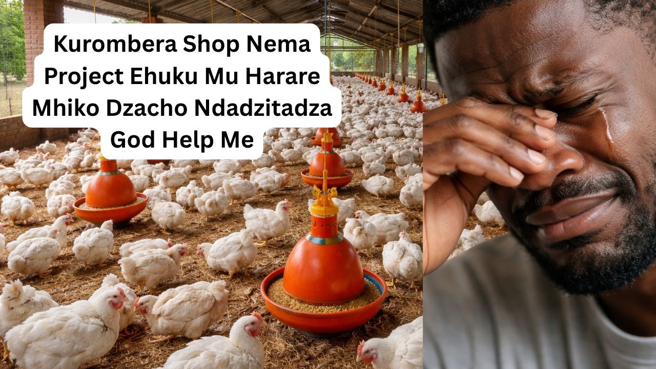 Kurombera Shop Nema Project Ehuku Mu Harare Mhiko Dzacho Ndadzitadza God Help Me
